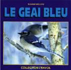Le geai bleu